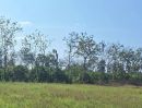 ขายที่ดิน - ขายที่ดินตำบลชมภูสารภีห่างถนนเพียง 50 เมตรโฉนดพร้อมโอน