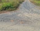 ขายที่ดิน - ขายที่ดินตำบลชมภูสารภีห่างถนนเพียง 50 เมตรโฉนดพร้อมโอน