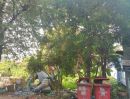 ขายที่ดิน - ที่ดินหมู่บ้านลิขิต7 บางพลีใหญ่ อยู่ตรงข้ามวัดบางพลีใหญ่ ทำเลดีในหมู่บ้านลิขิต เหมาะสร้างอพาร์ทเม้นท์ และธุรกิจอื่น ใกล้แหล่งชุมชน