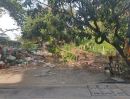 ขายที่ดิน - ที่ดินหมู่บ้านลิขิต7 บางพลีใหญ่ อยู่ตรงข้ามวัดบางพลีใหญ่ ทำเลดีในหมู่บ้านลิขิต เหมาะสร้างอพาร์ทเม้นท์ และธุรกิจอื่น ใกล้แหล่งชุมชน