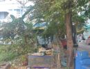 ขายที่ดิน - ที่ดินหมู่บ้านลิขิต7 บางพลีใหญ่ อยู่ตรงข้ามวัดบางพลีใหญ่ ทำเลดีในหมู่บ้านลิขิต เหมาะสร้างอพาร์ทเม้นท์ และธุรกิจอื่น ใกล้แหล่งชุมชน