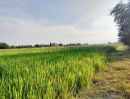 ขายที่ดิน - ที่ดินติดถนนสังฆสันติสุข กระทุ่มราย หนองจอก กรุงเทพ เนื้อที่8-3-48 ไร่