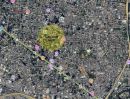 ให้เช่าที่ดิน - ให้เช่าบ้านในซอย สุขุมวิท 61 ใกล้ดองกิ มอลล์ ทองหล่อ !