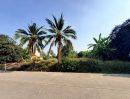 ขายที่ดิน - ขายที่ดินใกล้เซ็นทรัลศาลายาติดถนนคอนกรีตสาธารณะ 200 ตรว