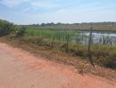 ขายที่ดิน - ขายที่ดินเปล่า 16 ไร่ ราคาพิเศษ ไร่ละแสน ต.กุดพิมาน ด่านขุนทด