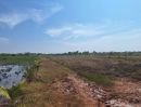 ขายที่ดิน - ขายที่ดินเปล่า 16 ไร่ ราคาพิเศษ ไร่ละแสน ต.กุดพิมาน ด่านขุนทด