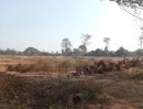 ขายที่ดิน - ขายที่ดิน18ไร่ ติดทางหลวงแผ่นดิน อุดรธานี-สกลนคร