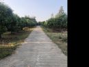 ขายที่ดิน - สวนผสม 3-0-73 ไร่ ใกล้ ม.แม่โจ้ เขตเทศบาลหนองหาร