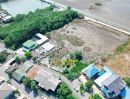 ขายที่ดิน - ขายที่ดิน 300 ตร.ว. ซอยเทศบาลบางปู 126 ใกล้ศูนย์ชุมชนคลองตาก๊ก ทำเลดี เหมาะสร้างบ้าน!