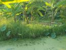 ขายที่ดิน - ขายที่ดิน ตำบลบางตลาด ปากเกร็ด นนทบุรี ใกล้รถไฟฟ้าสายสีชมพู ใกล้เซ็นทรัลแจ้งวัฒนะ ใกล้จุดทางขึ้นลงทางด่วนแจ้งวัฒนะ