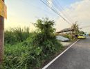 ขายที่ดิน - ขายถูกที่สุดที่ดินลาดปลาดุก 60 ตารางวาติดถนนลาดยางสาธารณะซอย หมู่บ้านธารทอง 2