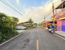 ขายที่ดิน - ขายถูกที่สุดที่ดินลาดปลาดุก 60 ตารางวาติดถนนลาดยางสาธารณะซอย หมู่บ้านธารทอง 2