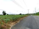 ขายที่ดิน - ขายที่ดิน 11ไร่ ข้างนิคมปิ่นทอง3 โรงงาน โกดัง สนใจโทรด่วน