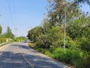 ขายที่ดิน - ขายที่ดินพนัสนิคม 31 ไร่ ติดถนนชบ.3014 3 ด้าน ใกล้ถนนสัตหีบ-พนมสารคาม(331)-2กม. จ.ชลบุรี