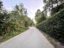 ขายที่ดิน - ขายที่ดินแปลงสวย มีต้นไม้ใหญ่ร่มรื่น ล้อมรั้วสวยงาม ติดถนนสองด้านเหมาะทำบ้านพักสำหรับผู้ที่รักความเป็นธรมชาติและความเป็นส่วนตัวสูง