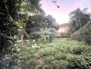 ขายที่ดิน - ขายที่ดินแปลงสวย มีต้นไม้ใหญ่ร่มรื่น ล้อมรั้วสวยงาม ติดถนนสองด้านเหมาะทำบ้านพักสำหรับผู้ที่รักความเป็นธรมชาติและความเป็นส่วนตัวสูง