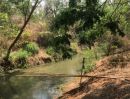 ขายที่ดิน - ที่ดินสันกำแพง ไร่ละไม่ถึงล้าน ที่ดินใกล้ศูนย์ราชการสันกำแพง ที่ดินใกล้ถนนคนเดิน