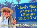 ให้เช่าที่ดิน - ให้เช่า ที่ดิน เปล่า ซอย ลาดพร้าว 1 แยก 23 ขนาด 1 งาน