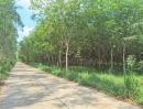 ขายที่ดิน - ขาย ที่ดิน ME172 พร้อมสวนยางพารา ไฟฟ้า ปะปา ใกล้ตลาดบ่อทอง วัดสุวรรณ บ่อทอง ชลบุรี 25 ไร่ 66.7 ตร.วา