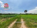 ขายที่ดิน - ที่ดินเปล่า อ.ปากช่อง-ดงพญาเย็น เนื้อที่ 9-0-26.2 ไร่ ถนนทางหลวง 1016 จ.นครราชสีมา