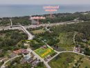 ขายที่ดิน - ขายที่ดิน หว้ากอ คลองวาฬ ประจวบคีรีขันธ์ ทางหลวงเอเชียสาย 2