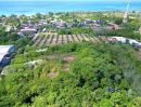 ขายที่ดิน - ขายที่ดิน Sea View สุดพิเศษ บนเกาะลันตา ทำเลทองพร้อมวิวทะเลและภูเขา ตำแหน่ง: ต.ศาลาด่าน อ.เกาะลันตา