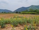 ขายที่ดิน - ขายที่ดินวิวเขาติดถนน น้ำไฟ สระ แหล่งท่องเที่ยว ชุมชน ท่ายาง เพชรบุรี