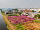 ขายที่ดิน - ขายที่ดิน 375 ตรว. บางปูใหม่ สมุทรปราการ พื้นที่สีม่วง