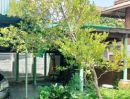 ขายที่ดิน - ประกาศขายที่ดิน 100 ตรว ตำบลปากน้ำ อำเภอเมือง สมุทรปรการ