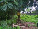 ขายที่ดิน - ขายที่ดินแปลงสวย เนื้อที่ 106 ตรว. ขามใหญ่ ถนนชยางกูร