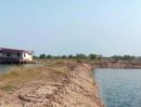 ขายที่ดิน - ขายที่ดินพนัสนิคมชลบุรีราคาถูก บนเนื้อที่ 5 ไร่ ขายที่ดินราคาถูก