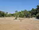 ขายที่ดิน - ขายที่ดินเปล่า พุทธมณฑลสาย 6 จังหวัดนครปฐม - ที่ดินติดถนนบรมราชชนนี มี 4 แปลง แบ่งขายหรือซื้อยกแปลงได้