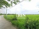 ขายที่ดิน - ขายด่วน ขายที่ดินแปลงสวย ทำเลดี ราคาถูก!! ต.บ่อเงิน อ.ลาดหลุมแก้ว จ.ปทุมธานี
