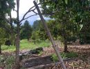 ขายที่ดิน - ขายสวนทุเรียน อ.เมืองระยอง พร้อมแหล่งน้ำธรรมชาติ ใกล้ทะเล ด้านหลังเป็นเขายายดา ห่างตลาดบ้านเพ 3 กิโลเมตร เนื้อที่ 4 ไร่ 3 งาน 29 ตารางวา ไร่ละ 2.5 ลบ.