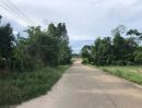 ขายที่ดิน - ขายสวนทุเรียน อ.เมืองระยอง พร้อมแหล่งน้ำธรรมชาติ ใกล้ทะเล ด้านหลังเป็นเขายายดา ห่างตลาดบ้านเพ 3 กิโลเมตร เนื้อที่ 4 ไร่ 3 งาน 29 ตารางวา ไร่ละ 2.5 ลบ.