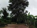 ขายบ้าน - ขาย บ้านเดี่ยว ที่ดินเปล่า โคราช 6392 ตรม. 1 ไร่ 3 งาน 98 ตร.วา พร้อมบ้าน