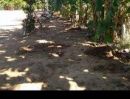 ขายบ้าน - ขาย บ้านเดี่ยว ที่ดินเปล่า โคราช 6392 ตรม. 1 ไร่ 3 งาน 98 ตร.วา พร้อมบ้าน