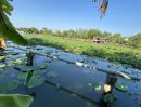 ขายที่ดิน - ขายที่ดิน 400 ตร.ว.ย่านนครปฐมศาลายาพุทมณฑลติดถนน4เลนด้านหลังติดคลองนราภิรมย์