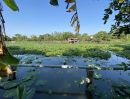 ขายที่ดิน - ขายที่ดิน 400 ตร.ว.ย่านนครปฐมศาลายาพุทมณฑลติดถนน4เลนด้านหลังติดคลองนราภิรมย์