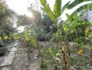 ขายที่ดิน - ขายที่ดิน 400 ตร.ว.ย่านนครปฐมศาลายาพุทมณฑลติดถนน4เลนด้านหลังติดคลองนราภิรมย์