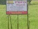 ขายที่ดิน - ขายด่วน ทีดินหนองแวงนางเบ้า 3 ไร่ 3 งาน ไร่ละ 1ล้าน 2 แสน
