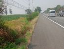 ขายที่ดิน - ขายด่วน ทีดินหนองแวงนางเบ้า 3 ไร่ 3 งาน ไร่ละ 1ล้าน 2 แสน