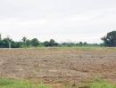 ขายที่ดิน - ขายที่ดิน 10 ไร่ ผังสีเหลือง ติดถนนดำ ใกล้วัดหมอนนาง เหมาะทำโรงงาน โกดังสินค้า พนัสนิคม ชลบุรี