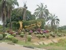 ขายที่ดิน - ขายที่ดินเปล่า 310 ตรว. ติดถนนพหลโยธิน อ.วังน้อย อยุธยา
