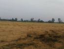 ขายที่ดิน - ที่ดิน อ.บ้านโพธิ์(สนามจัน) ยกแปลง 3 โฉนด ขนาด 60 ไร่เศษ ฉะเชิงเทรา