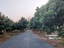ขายที่ดิน - ที่ดินสวนลำไย 1-1-25 ไร่ วิวภูเขา ติดถนนคอนกรีต 2 ด้าน ถูกๆ