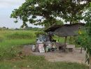 ขายที่ดิน - ขายที่ดิน 2-3-27 ไร่ สวนหลวง ร.9 ซอย 38 (ถนนเฉลิมพระเกียรติ ร.9)