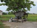 ขายที่ดิน - ขายที่ดิน 2-3-27 ไร่ สวนหลวง ร.9 ซอย 38 (ถนนเฉลิมพระเกียรติ ร.9)