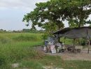 ขายที่ดิน - ขายที่ดิน 2-3-27 ไร่ สวนหลวง ร.9 ซอย 38 (ถนนเฉลิมพระเกียรติ ร.9)