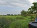 ขายที่ดิน - ขายที่ดิน 2-3-27 ไร่ สวนหลวง ร.9 ซอย 38 (ถนนเฉลิมพระเกียรติ ร.9)
